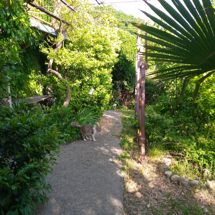 Туапсе у самого моря